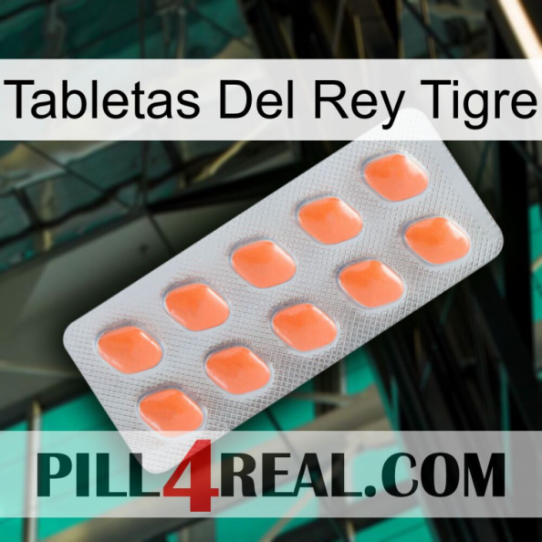 Tiger King Tablets 26.jpg